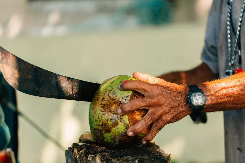 Abriendo un coco fresco a machete